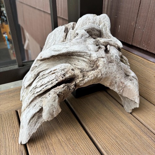Natural Driftwood 13x7 Deep Grooves Organic Wood Terrarium Aquarium Decor