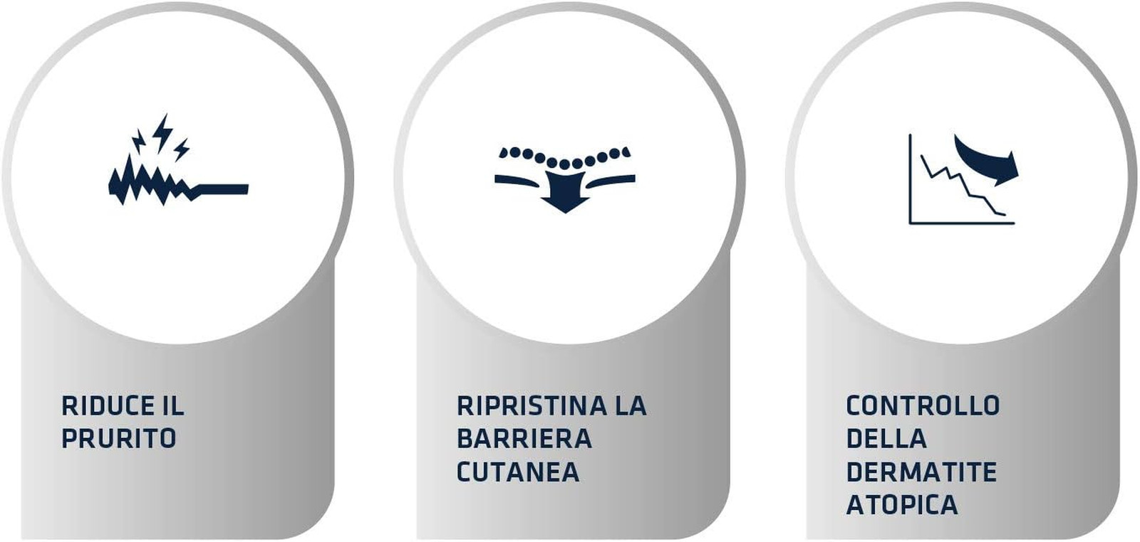Dermatite Cane Mini? Risolvi con Advance Veterinary Diets Atopic Mini - 4