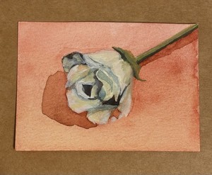 ACEO Original "Rose" Watercolor & Gouache Illustration Painting of Rose on Paper