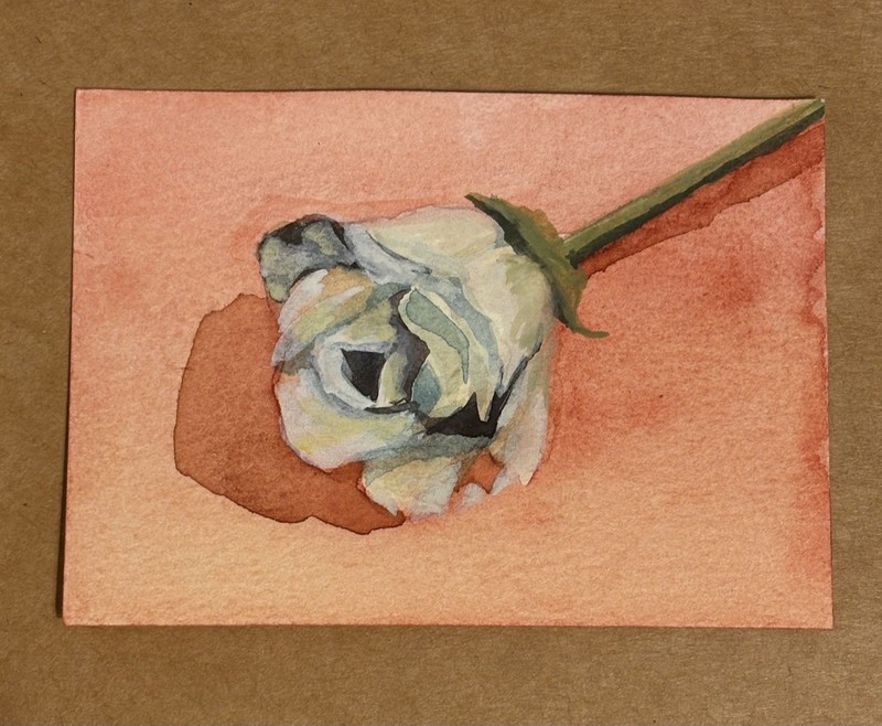 ACEO Original "Rose" Watercolor & Gouache Illustration Painting of Rose on Paper