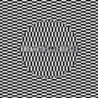 Transverse by Carter Tutti Void (CD, Mar-2012, Mute)