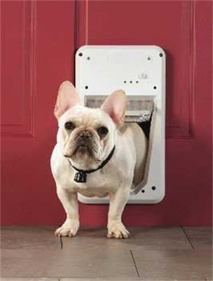 petsafe smart door medium