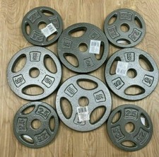 CAP Cast Iron Standard 1" Grip Weight Plates 2.5 5 LB 10LB 25 LB - PR SHIPS FREE