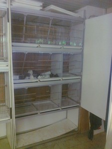 Cage Batterie De Annonces Dachats Et De Ventes Trouver Le