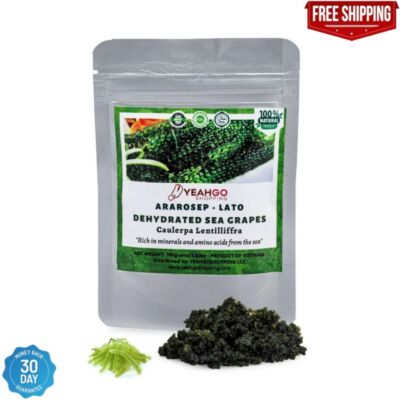 Yeahgoshopping Dried Sea Grapes, Fresh Organic Seaweed, Umibudo, Dehydrated C...