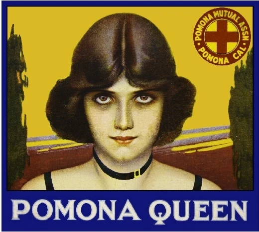 Pomona Queen Los Angeles Theda Bara Orange Citrus Fruit Crate Label Art Print