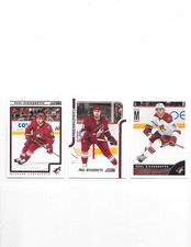 PAUL BISSONNETTE(BIZ NASTY)-3 CARD LOT