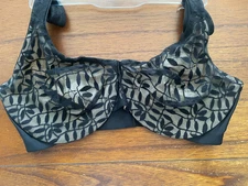 New Olga Black Sheer Leaves Minimizer 35519 34DD MSRP $42