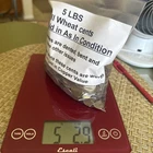 5 + LBS of Cull Un-Searched Wheat Penny Coins Bag 3