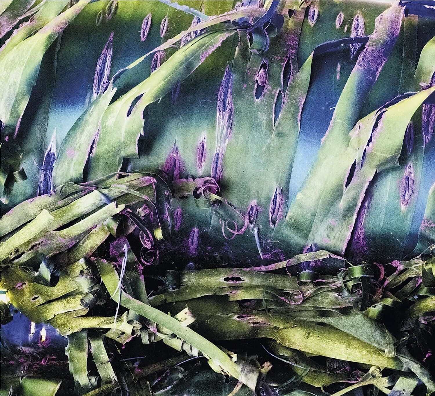 Мультизональная пластинка Polypores Mindscramble (винил) (ИМПОРТ ИЗ Великобритании)