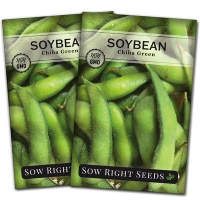 Sow Right Seeds - Chiba Green Soybean for Planting - Non-GMO