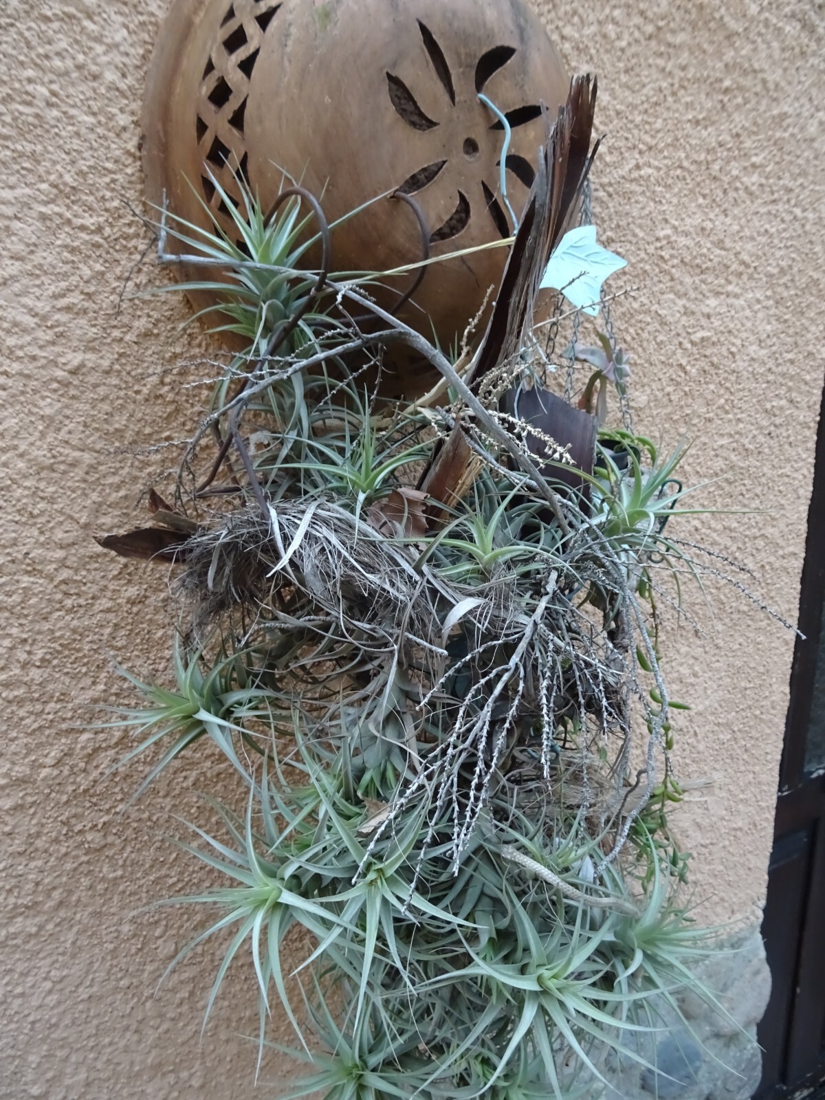 Picture 5 of 21
