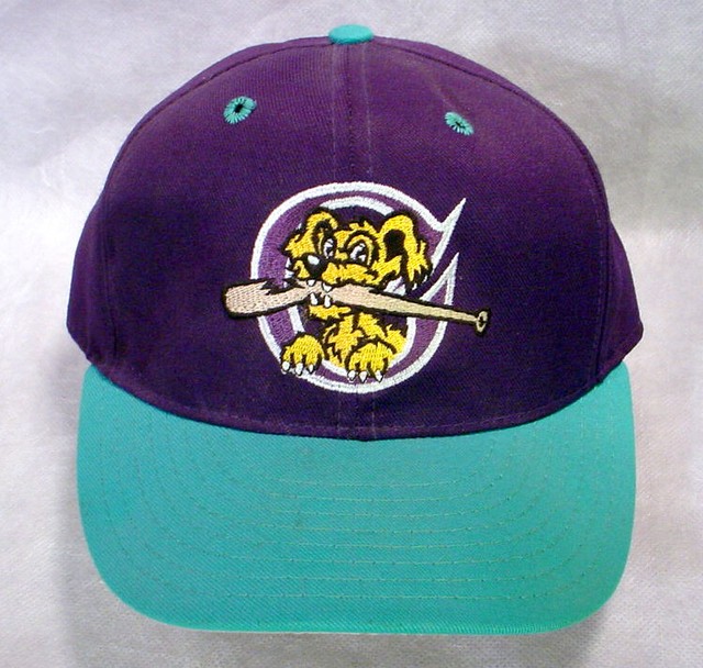 Charleston RIVERDOGS Baseball HAT CAP Logo DOG BAT Fitted 63/4 Purple