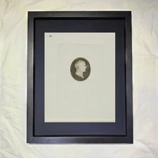 Jean-Baptiste de Grateloup Jean Pierre Sylvestre "Napoleon" CUSTOM FRAMED Art