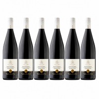 Portugieser Rotwein Trocken 2025 Pfalz Literwein 6 X 1,0 L