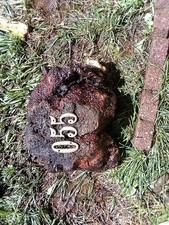  055 Nice Manzanita Burl Woodb