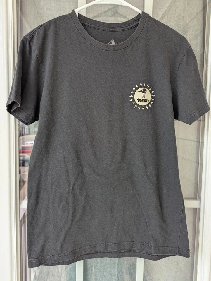 Camiseta gráfica Teton Gravity Research x Futurebirds S banda indie rock jam gorpcore Foto 2 de 4