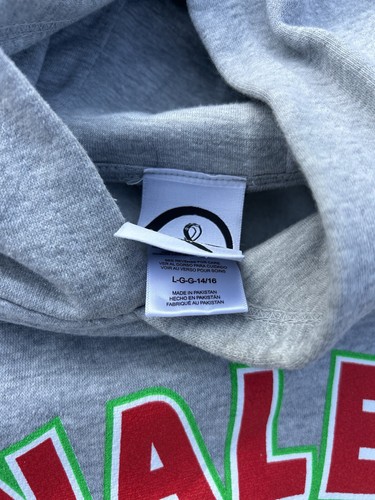 FIFA Soccer World Cup Wales Hoodie Sweatshirt Adult Size Youth L 2022 Qatar - Picture 3 of 4