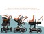 Cynebaby High Landscape Baby Stroller Two-Way ...