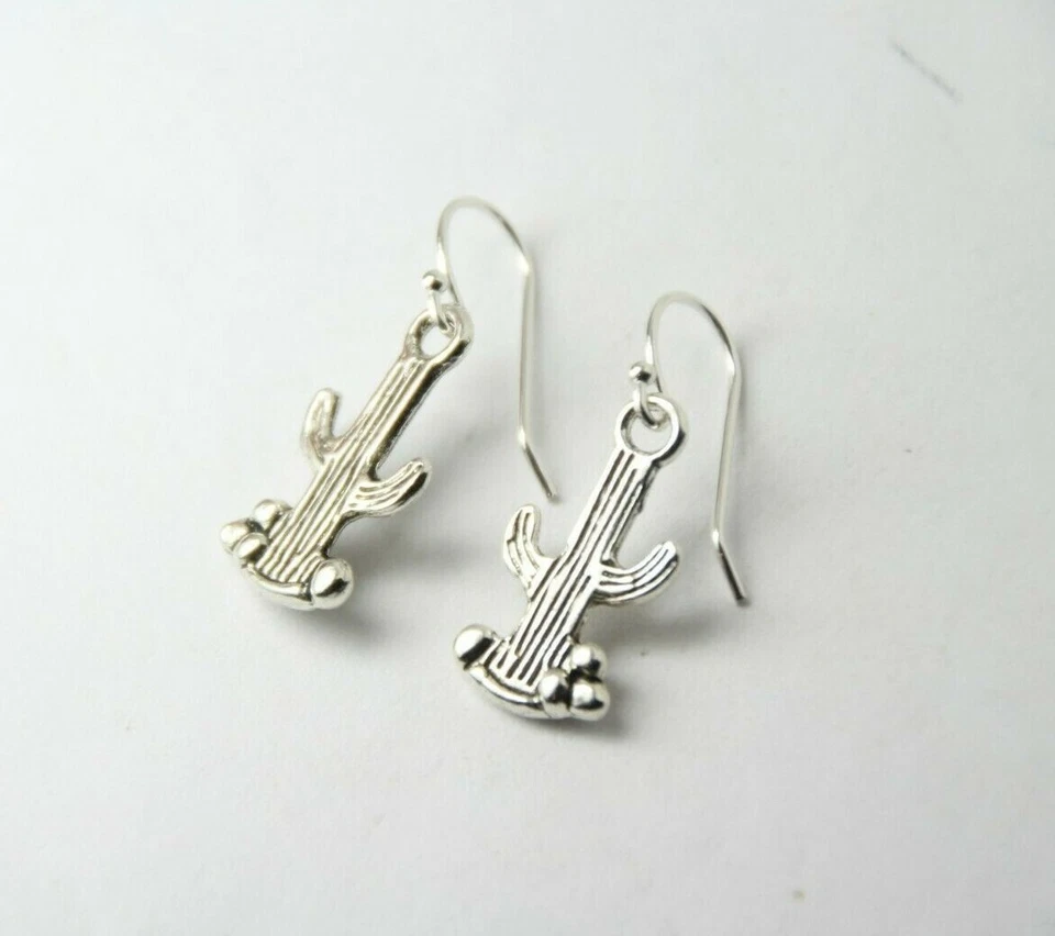 仙人掌小饰品耳环 925 纯银钩锡饰品仙人掌 1 英寸沙漠 — 第 2/4 张图片