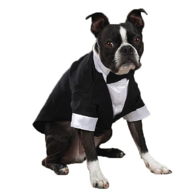 Elegant Wedding Groom Dog Tuxedo Dogs Formal Wear for Black Tie