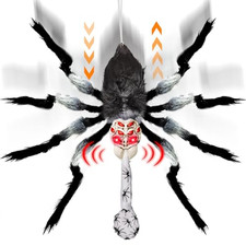 31-inch Giant Hanging Spider Animatronic, Light-Up Halloween Decoration
