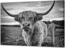 Highland Cow Canvas Wall Art Black and White Cow Photos for Wall Nature Cow P...