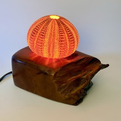 Vtg Genuine Sea Urchin Shell Wood Table Lamp Tabletop Night Light Unique MCM
