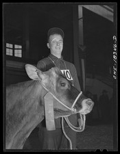 Madison Wisconsin Duane Denotter Brown Swiss Cow Little International 1943