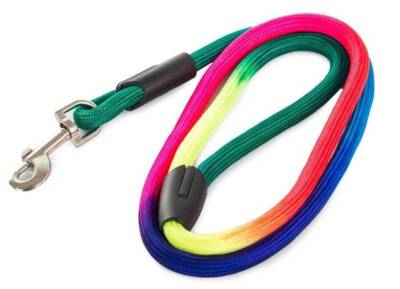 Traditionelle Hundeleine Regenbogen bunt 123cm 1,23m | eBay.de