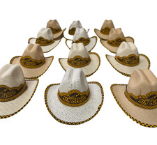 SET OF 12 MEXICAN MINI PALM HATS , CAR DECOR , SOMBRERO , MINI HAT , NEW MEXICO