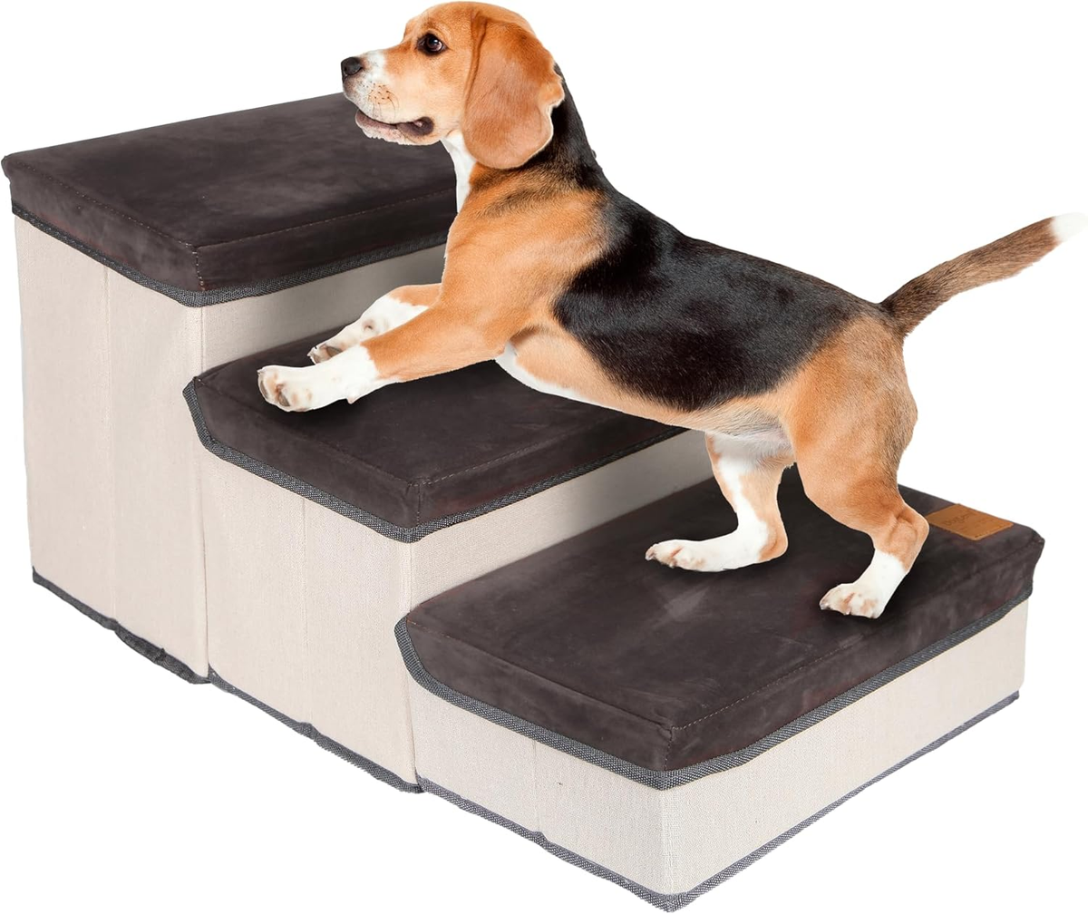 Cachorro Llora Como Hacer Que Tu Perro Duerma Solo Cama Elevada