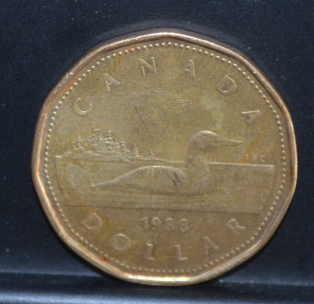 1988 Queen Elizabeth ll One Dollar Canada Coin | eBay