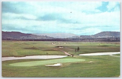 Vintage Canaan Valley Golf Court Postcard Route 32 Davis WV Scenic View