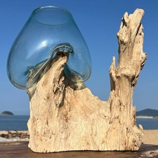 Driftwood glass object extra large H vase goldfish bowl terrarium flower pot