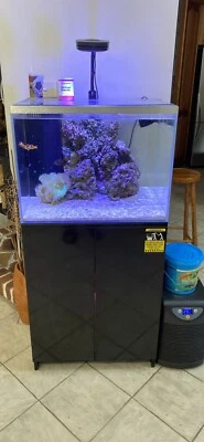 730 Koleksi Wave Design 150 Aquarium Erfahrungen HD Terbaru