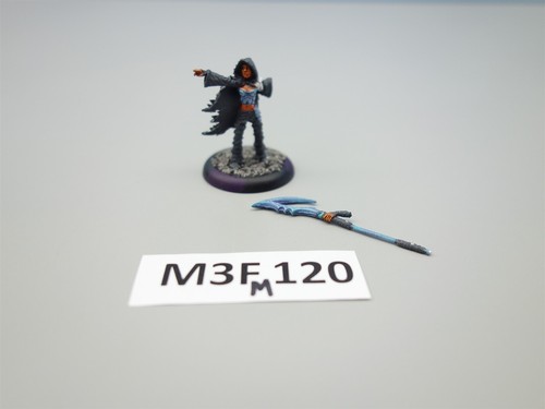 Hordes: Legion of Everblight - Blighted Nyss Shepherd (painted Privateer Press) - Picture 2 of 4