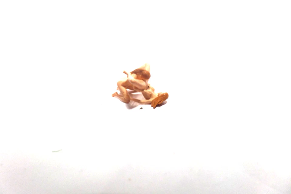 1:87 sexy Figuren-Liebe unter Frauen (859)