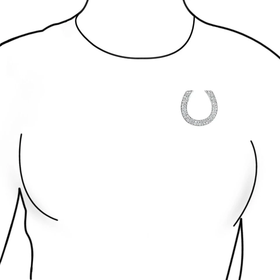 Broche grande de herradura de circonita cúbica ecuestre occidental plateado Foto 3 de 3