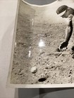 Williams In Action Catch Fielding Position Syracuse Chiefs Vintage Photo — photo 5