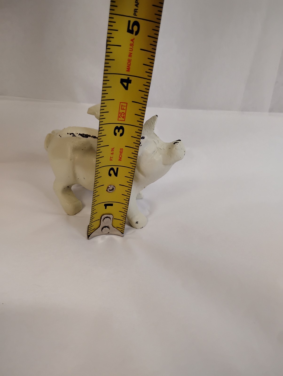 Picture 5 of 5