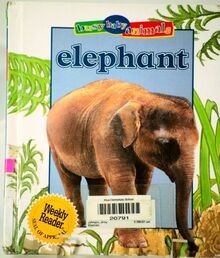 Elephant (Busy Baby Animals) von Johnson, Jinny | Buch | Zustand sehr gut