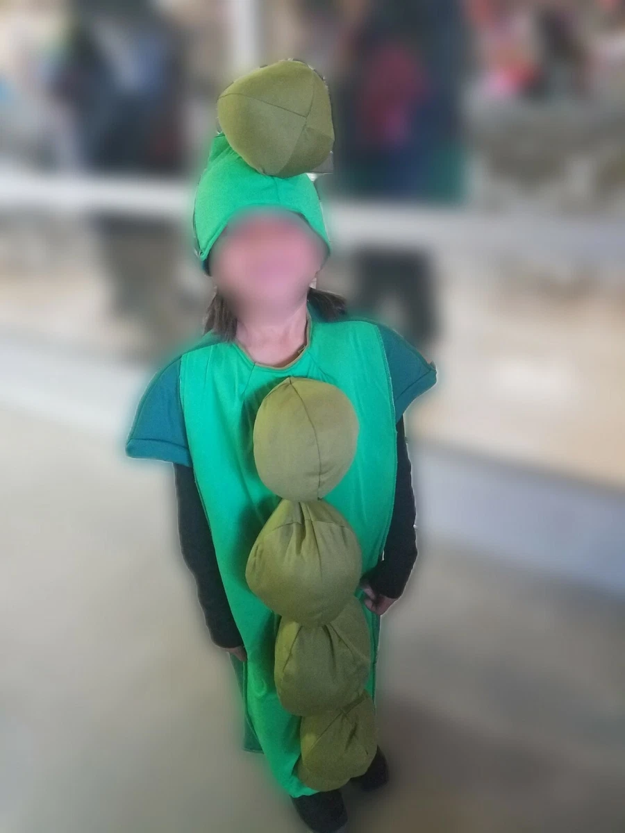 Kids Pea Pod Vegetable Food Funny Fancy Dress Halloween Christmas