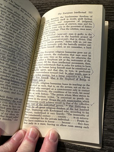 The Decline of the Intellectual - Picture 9 of 12