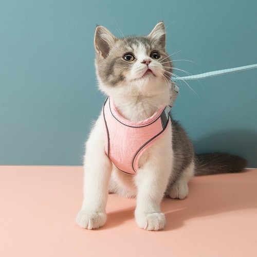VIP Cat Harness Leash Set - Picture 4 of 11