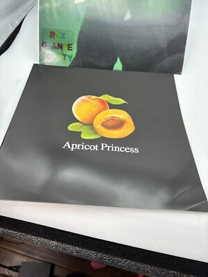 REX ORANGE COUNTY - Apricot Princess - Vinyl (limited orange vinyl