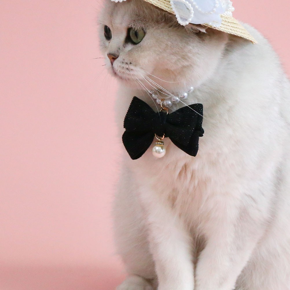 Delicato Collare Per Cani Accessori Gatti Di Gatto Animali Domestici Con Perle