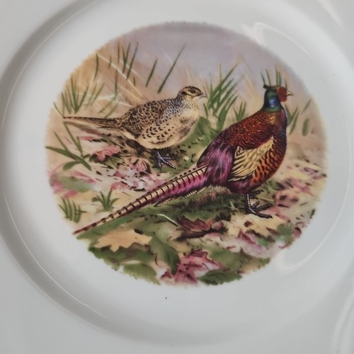 6 Plates Hutschenreuther Tirschenreuth Porcelain Plate Germany 10" Gold Trim - Picture 8 of 12