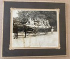 Antique Edwardian Photo Gibson Girl Parade Float Horse Drawn Boy Costume Reading — photo 5