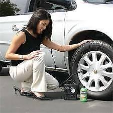 Smart Spare Wheel Tyre Inflator Puncture Repair fits DODGE + Free Gift - Picture 1 of 1